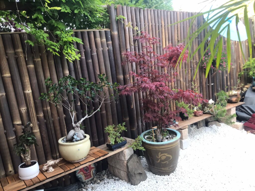 Recinzione in bambù - 180 x 100 cm - Scuro - Eviro Bambù