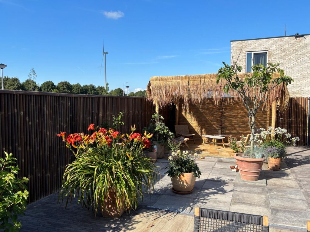 Stuoia in bambù Giant - 180 x 180 cm - Scuro - Eviro Bambù