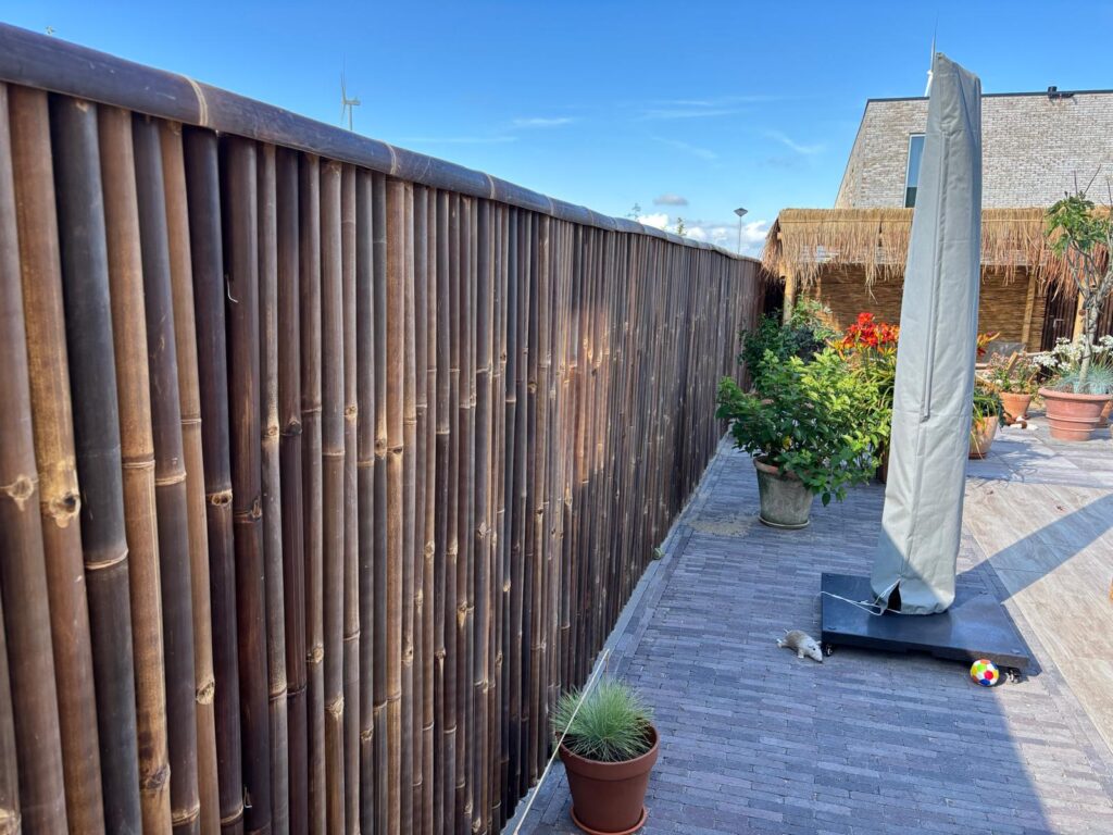 Stuoia in bambù Giant - 180 x 180 cm - Scuro - Eviro Bambù