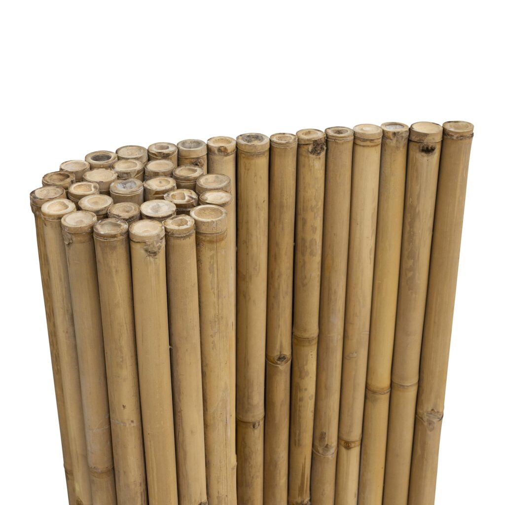 Bamboemat Giant - 180 x 120 cm - Naturel - Eviro Bamboe