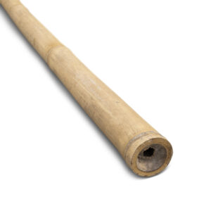 Palo di bambù naturale - Ø 5-7 x 300 cm - Eviro Bambù