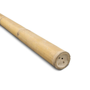 Palo di bambù Giganteus - Ø11-14 x 400 cm - Naturale - Eviro Bambù