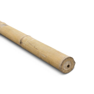 Palo di bambù Giganteus - Ø11-14 x 200 cm - Naturale - Eviro Bambù