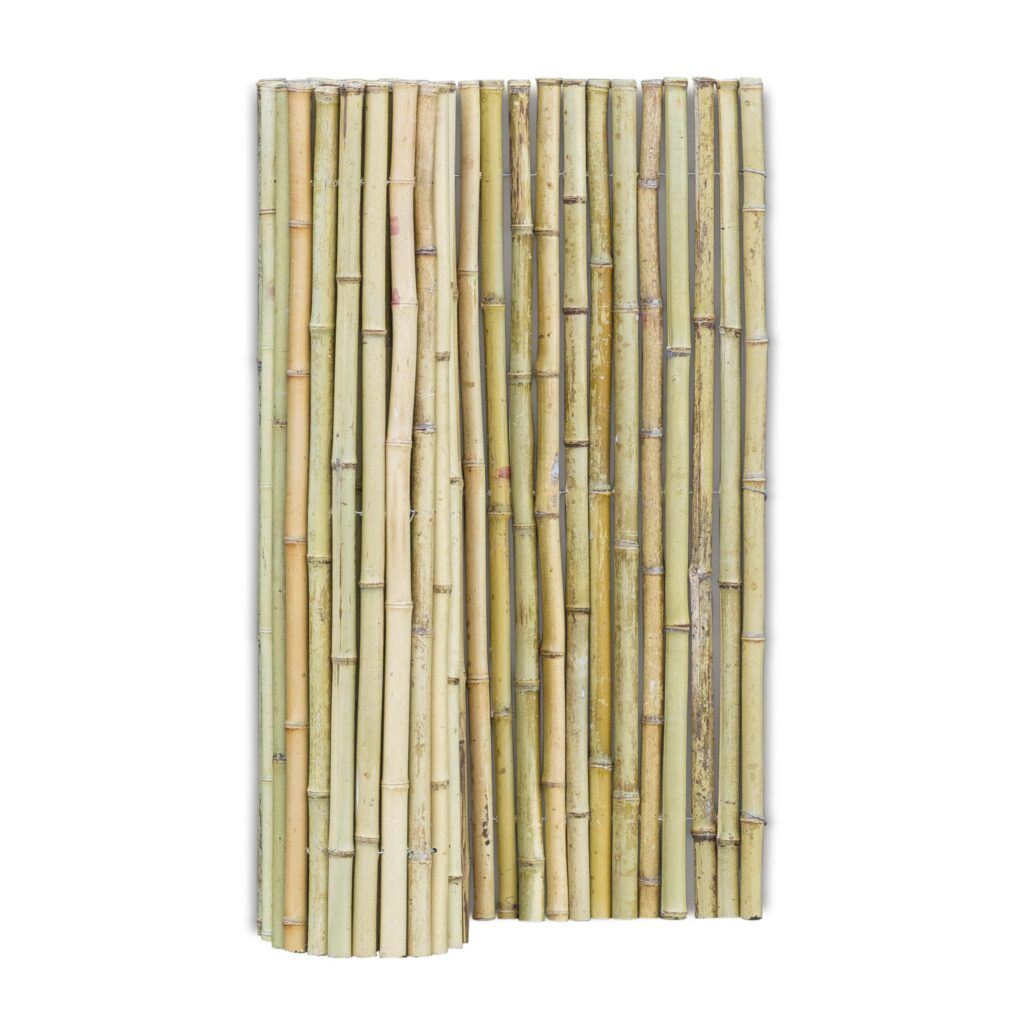 Stuoia di bambù Moso - 180 x 100 cm - Naturale - Eviro Bambù