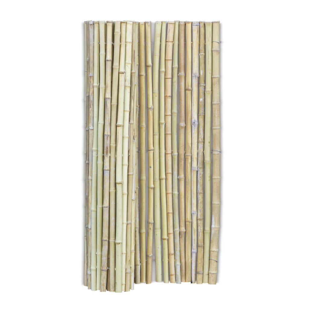 Stuoia di bambù Moso - 180 x 120 cm - Naturale - Eviro Bambù