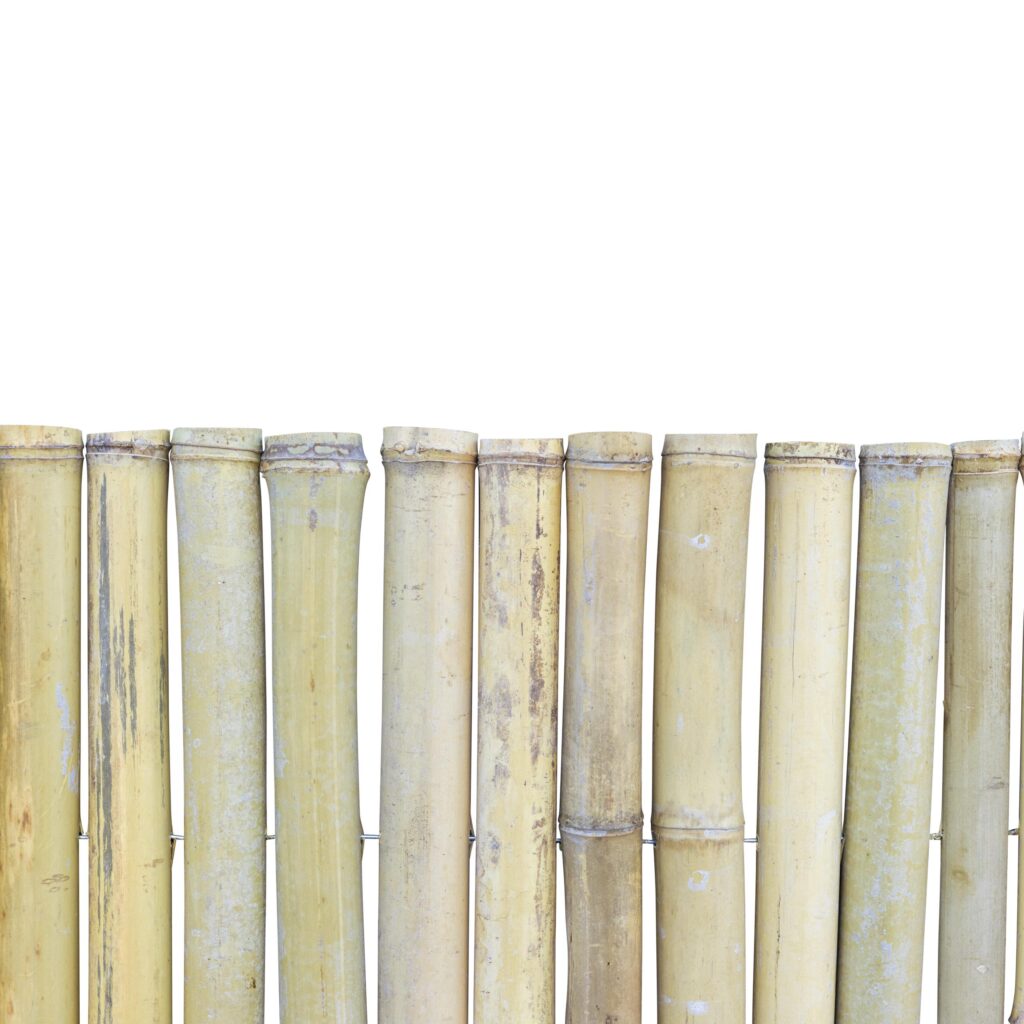 Stuoia di bambù Moso - 180 x 100 cm - Naturale - Eviro Bambù